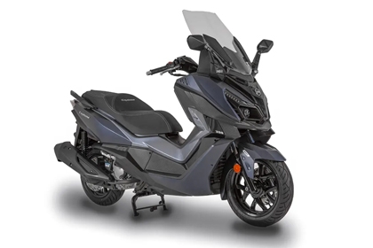 CRUISYM 300